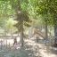 Aire de jeux extérieure mettant en vedette une structure de jeu Captainâ€™s Bridge Eco avec des enfants jouant parmi les arbres.