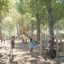 Des enfants jouent sur l’ensemble de jeu Captainâ€™s Bridge Eco dans un parc.